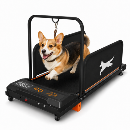 A black pet treadmill with a dog leash bar, shown with a corgi running on it against a white background.
