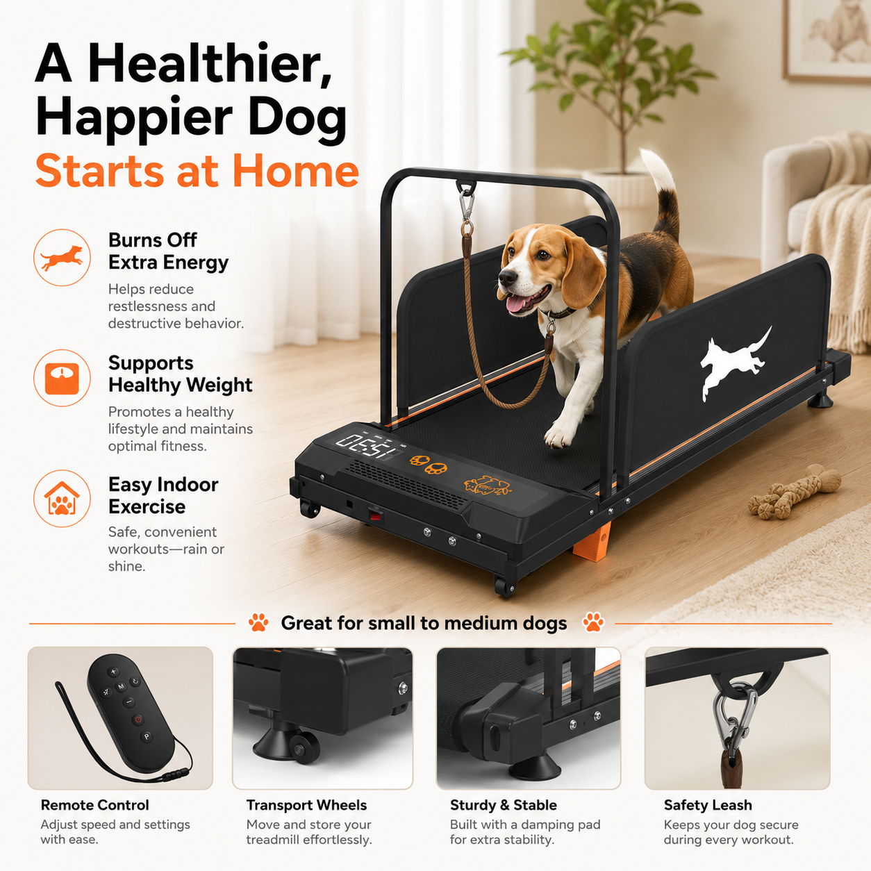A black automatic pet treadmill shown in a home setting with a beagle dog running on it. The image includes marketing text on the left highlighting benefits, and four feature callout panels along the bottom showing remote control, transport wheels, sturdy construction, and a safety leash.