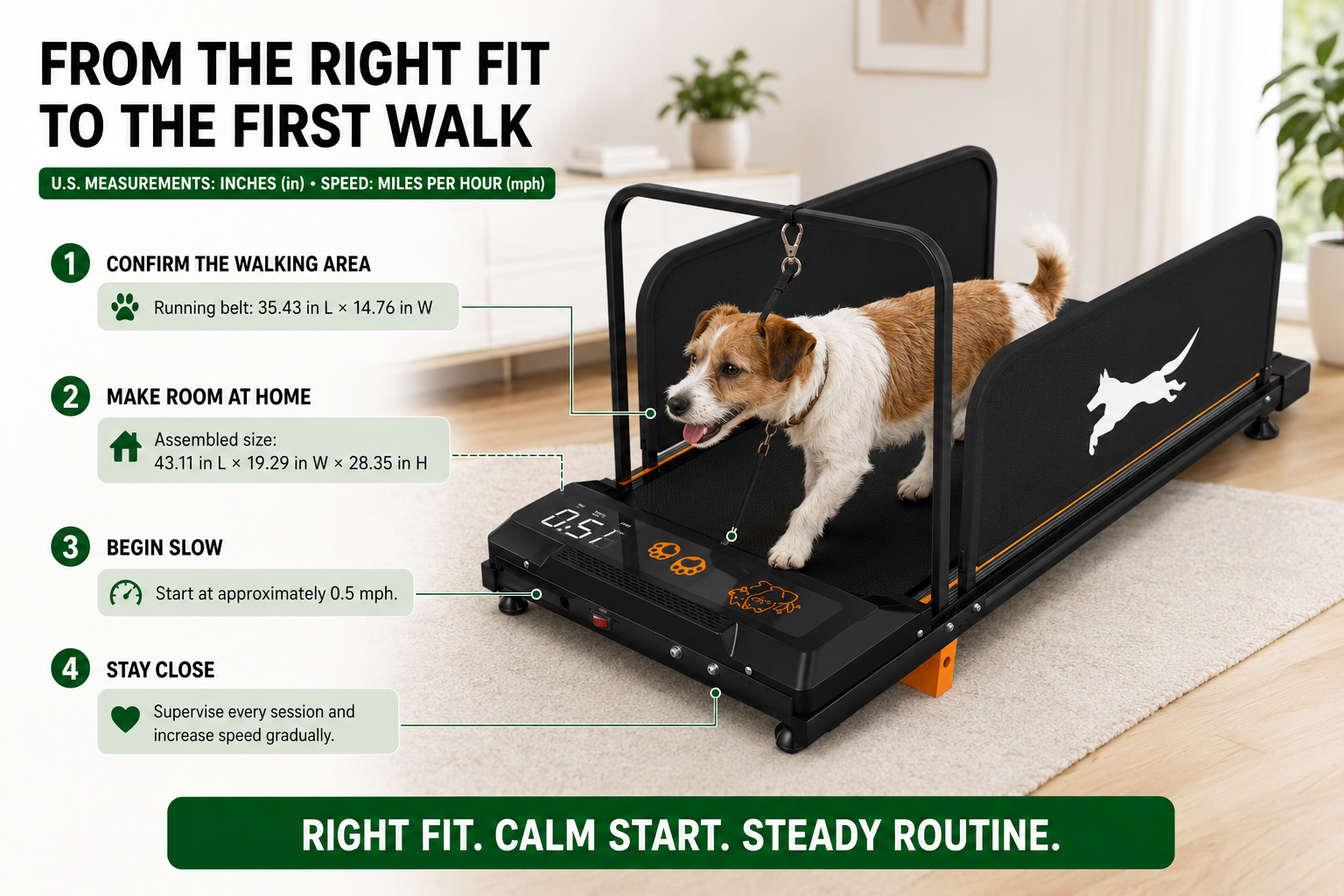 A dog treadmill shown in a home interior with a dog walking inside it. The image includes large marketing text and callout lines explaining features such as running belt size, assembled dimensions, starting speed, and session supervision.