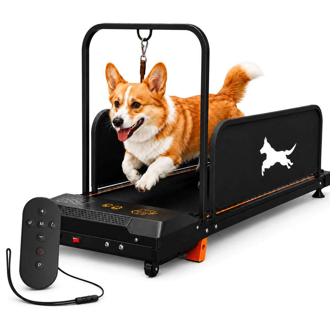 A black automatic pet treadmill with a dog running on it, shown on a white background. The dog is a corgi.