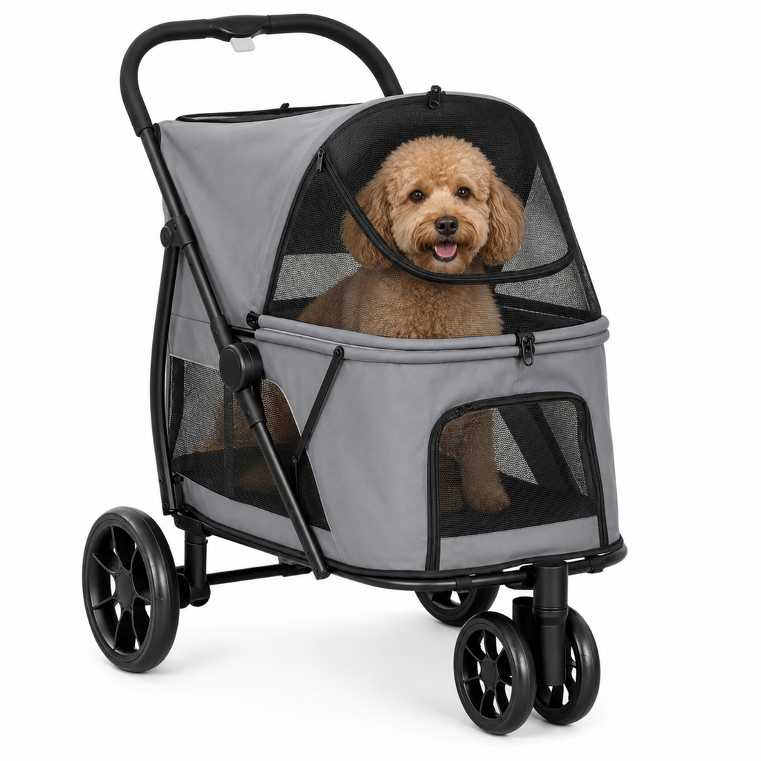 A small brown poodle sits inside a gray and black pet stroller with mesh windows, photographed on a clean white studio background.