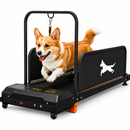 2-in-1 Dog Treadmill for Small & Medium Dogs | Quiet Indoor Exercise & Walking Pad