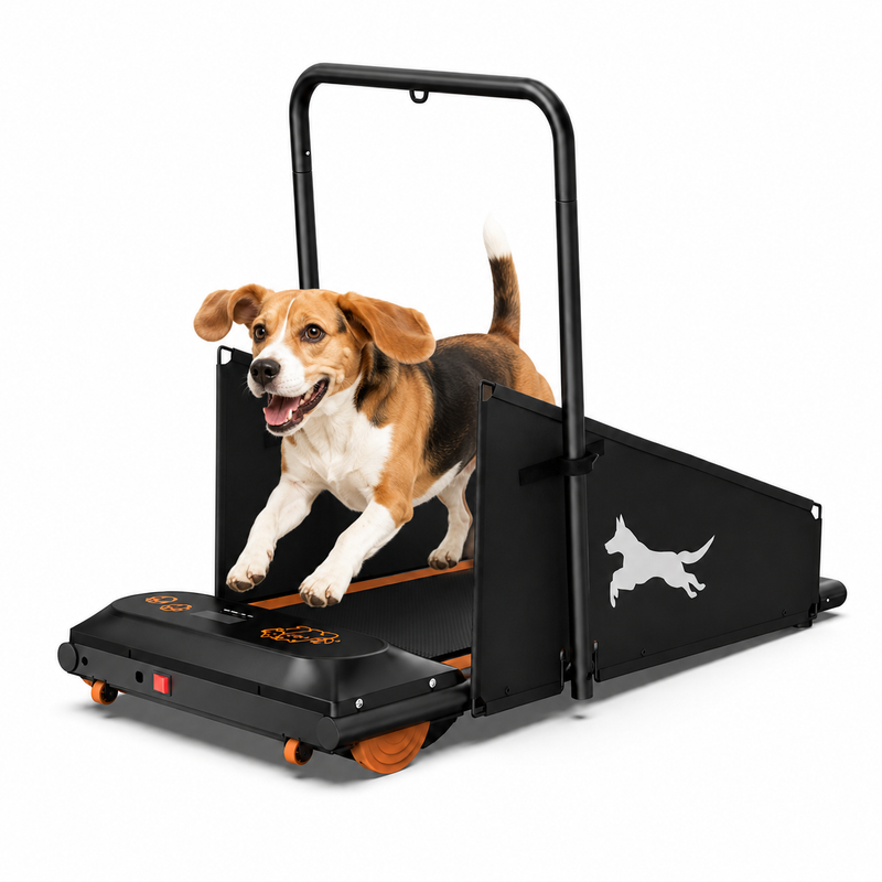 Foldable dog treadmill for small and medium dogs with remote control and safety side panels.