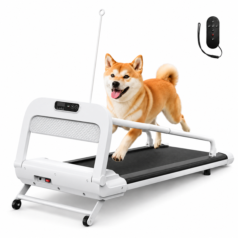 A Shiba Inu dog is running on a white and black automatic pet treadmill, with a separate black remote control shown in the upper right corner against a solid white background.